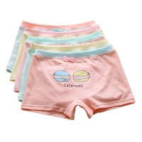 Big Girls' Underwear Cotton Boyshort Hipster Kids Briefs Panties 5 Pack