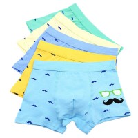 Boy's Boxer Briefs Comfortable Cotton Short Toddler Underwear 5 Pack