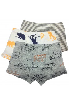 Boys Underwear Dinosaur Kids Boxer Briefs Cotton Underpants 3 Pack