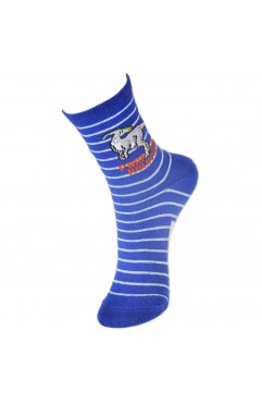Kids Boy's Fashion Cartoon Dinosaurs Pattern Sport Socks 10 Pairs 